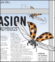 Award winning illustration for the Indiana Daily Student